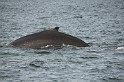 Islande_J18_052