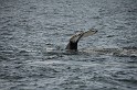 Islande_J18_054