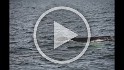 Islande_J18_056