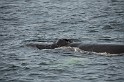 Islande_J18_059