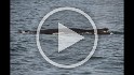 Islande_J18_061