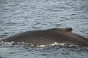 Islande_J18_062