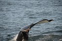 Islande_J18_070