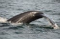 Islande_J18_075