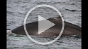 Islande_J18_078