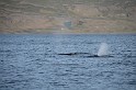 Islande_J18_081