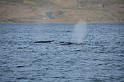 Islande_J18_082