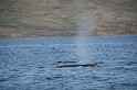 Islande_J18_083