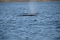 Islande_J18_085