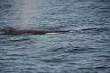 Islande_J18_088