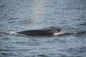 Islande_J18_090