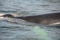 Islande_J18_101