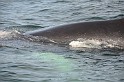 Islande_J18_103