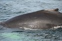 Islande_J18_105