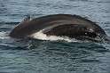 Islande_J18_109