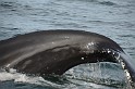Islande_J18_110