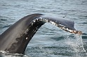 Islande_J18_112