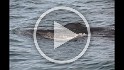 Islande_J18_114