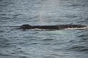 Islande_J18_116