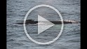 Islande_J18_124