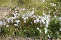 Islande_J2_056