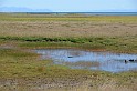 Islande_J4_030