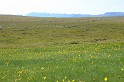 Islande_J4_031
