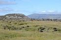 Islande_J5_011