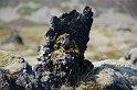 Islande_J5_018