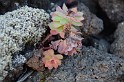 Islande_J5_023