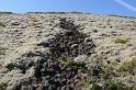 Islande_J5_029