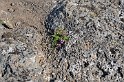 Islande_J5_031