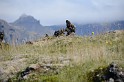Islande_J5_038