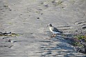 Islande_J5_100
