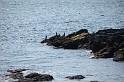 Islande_J6_020