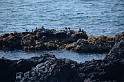 Islande_J6_038