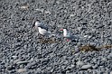 Islande_J6_049