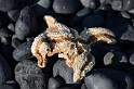 Islande_J6_050