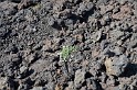 Islande_J6_073