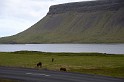 Islande_J7_012