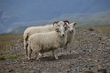 Islande_J7_013