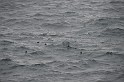 Islande_J8_029