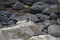 Islande_J8_030