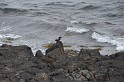 Islande_J8_032