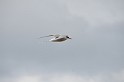 Islande_J8_041