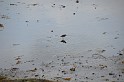 Islande_J8_043