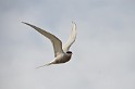 Islande_J8_045
