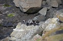 Islande_J8_063