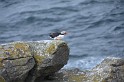 Islande_J8_067