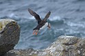 Islande_J8_068
